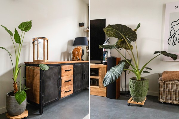 Foto - Te koop: Charmante levensloopbestendige woning!